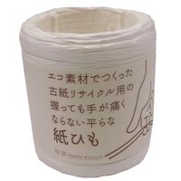 エスコ 10~14mmx43m 紙ひも(白) EA628PE-2 1セット(10個)（直送品）