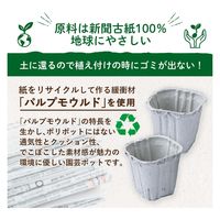 コモライフ 土に還る園芸ポット 391478 1個(30個)