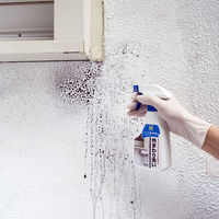 外まわり洗い 300mL 屋外 玄関 ベランダ 汚れ落し 洗剤 掃除 1個 日本ミラコン産業