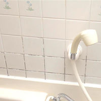 シリコンカビ取り（箱型）50g 浴室 お風呂 浴槽 ゴムパッキン 洗剤 掃除 1個 日本ミラコン産業