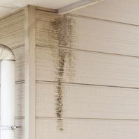 エクステリア・外カベ洗い 500mL 屋外 洗剤 外壁サイディング 掃除 1セット（3個） 日本ミラコン産業