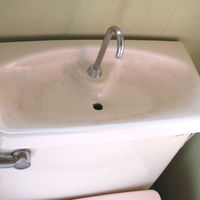 とう器洗い 200g お手洗い トイレ 陶器 洗剤 掃除 1セット（3個） 日本ミラコン産業