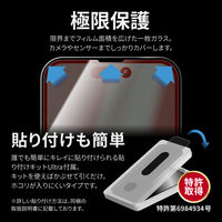 MSソリューションズ iPhone 14ProMax ガラスフィルム 全画面 ブルーライトカット LN-IL22FGB 1個（直送品）