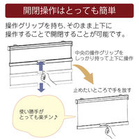 簡単目隠し「スチールラック用ロールスクリーン＜マグネット＞ エナメル」幅120cmｘ高さ180cm RK-1612-M 1セット トーソー（直送品）