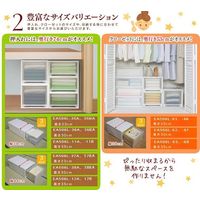 エスコ 440x740x 300mm 引出し式収納ケース EA506L-38A 1個（直送品）