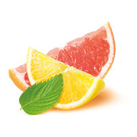 アクアフレッシュエクストリームクリーンホワイトニングフレッシュグレープフルーツ増 833579（直送品）