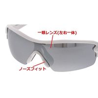 高儀 TAKAGI セーフティグラス スモークミラー AGー10SM 4907052312180 1セット(2個)（直送品）