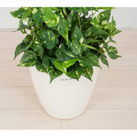 岩や 人工樹木／人工観葉植物　ポトス GO-509 1個（直送品）