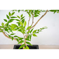岩や 人工樹木／人工観葉植物　フランスベンジャミン GOW-512 1個（直送品）