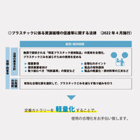 軽量化デザートスプーン 115mm 個包装 1袋（100本入）