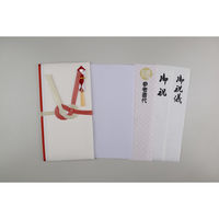 伊予結納センター 縁創 ENSOU 金封 参考書代 ESO-022 1セット(5枚)（直送品）