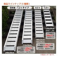 シンセイ アルミブリッジ 240×30 1.2t用 4571191194039 1セット(2枚)（直送品）