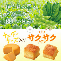 【ワゴンセール】味の素　クノール スープDELI ほうれん草とえだ豆の濃厚ポタージュ パン入り　1セット（12個）インスタント