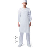 KAZEN 胸当エプロン(タスキ式) ホワイト 486-51 F 1セット(10枚:2枚×5個)