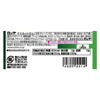 マスカットガム 15個 ロッテ 昭和レトロ