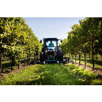 【ナチュラルワイン】イタリア　テッレ デイ ブース フリッツァンテ ビアンコ スパークリングワイン　白　辛口　750ml 1本　徳岡