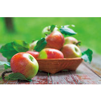 アチェートゥム オーガニック・アップルヴィネガー 500ml 3個