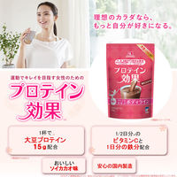 プロテイン効果 森永ココア味 264g 3袋 森永製菓