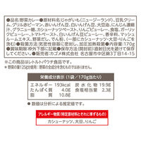 カゴメ 野菜と豆のマッサマンカレー 中辛 1人前・170g 1セット（5袋） プラントベース ヴィーガン