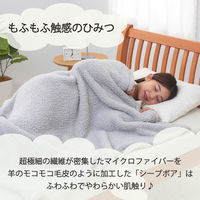 西川 洗えるとろふわ毛布 MOFUMOFU 吸湿発熱 抗菌 消臭 シングル アイボリー FQ02045407 1枚（直送品）