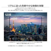 JAPANNEXT 23.8インチ 液晶ディスプレイ JN-IPS2380FHDR-C 1個