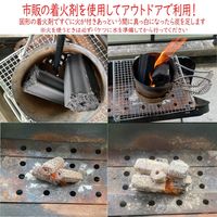 トライソリューションズ ヤシガラ炭（PKS） TR-CC-01 1個（直送品）