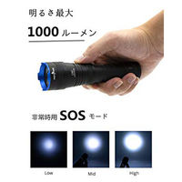 PEETPEN LEDフラッシュライト 1000lm IP68 C60 1個（直送品）