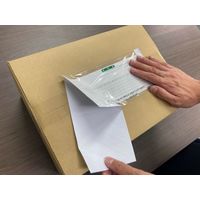 デリバリーパック 完全密封タイプ 再剥離糊 全面糊 透明 長4用 PA-701RJ-N パピルスカンパニー 1パック（100枚入）