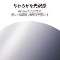 プリンター用紙 写真用紙 2L判 20枚 微光沢 写真用アートペーパ 印画紙 厚手 ホワイト EJK-ML2L20 エレコム 1個