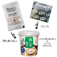 丸美屋 スープdeごはん 鶏しお雑炊（押し麦ごはん付き） 70.3g