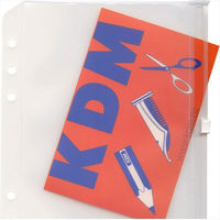 レイメイ藤井 ダヴィンチ リフィル A5 ファスナーポケット DAR322 1冊