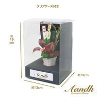 伊予結納センター 正月飾り 門松 宝寿 KDM-002 1個（直送品）