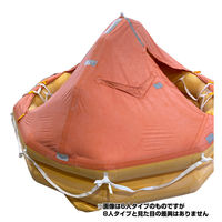 アール・エフ・ディー・ジャパン 小型船舶用膨張式救命筏　近海　角コンテナ　ＴＲＹー８Ｎ　０６７０ 6300033070 1台（直送品）