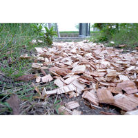 グリーンクロス ナチュラルウッドチップ100L 6300033115 1袋（50Lｘ2袋入）（直送品）