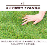 三栄コーポレーション 人工芝ロール 人工芝マット 2m×10m　芝丈35mm ナチュラルグリーン/春・秋色（直送品）