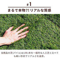 三栄コーポレーション 人口芝パネル 人口芝タイル 128枚セット 芝丈35mm A1--GRAS128TILE_AS 1セット(128枚)（直送品）