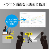 サンワサプライ ワイヤレスHDMIエクステンダー(据え置きタイプ・セットモデル) VGA-EXWHD11 1個（直送品）