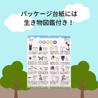 クツワ 学童むしめがね 45mm ブルー MG001BL 1セット(5個)（直送品）