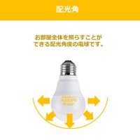 LED電球 E17口金/A型 60W形相当昼白色 配光角約 180° NVC LDA6N-G-E17/K60AR 1個