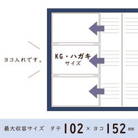 セキセイ ポストカードアルバム　ブルー XP-247P-10 2個（直送品）