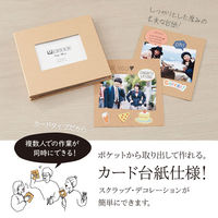 セキセイ スクラップアルバムALDECOミニ CF XP-3708-48 1セット(2個)（直送品）