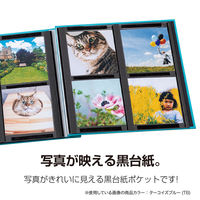 セキセイ ましかくアルバム 4P キナリ XP-8901-73 1セット(2個)（直送品）