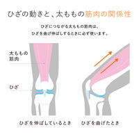 【本体のみ】MTG SIXPAD Knee Fit L SEーAYー00CーL