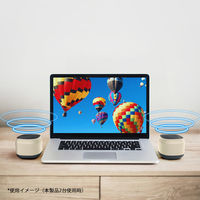 PGA ポータブル ワイヤレス スピーカー ベージュ PG-PWS02BE 1個