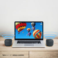 PGA ポータブル ワイヤレス スピーカー ブラック PG-PWS01BK 1個（直送品）