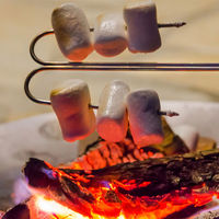 Petromax（ペトロマックス） BBQ バーベキュー 串 キャンプスキュワー LS2 12887 2個（直送品）