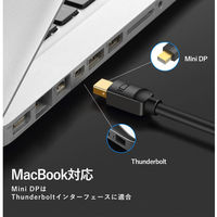 Mini Displayport ー Displayport変換ケーブル 2m 4K/60Hz DP1.2 HA-3158 1本