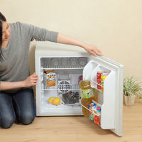 SunRuck 48L 1ドア電子冷蔵庫 冷庫さん シルバー SR-R4803SV 1個（直送品）