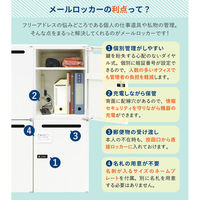 Netforce イーセンブリー パーソナルロッカー メールボックス ダイヤル錠  4人用 2列2段 幅800 ブラック（直送品）