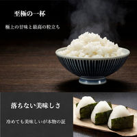 クリエイトアルファ 3パック みずのながれ オリジナルPKG 4582243754439（直送品）